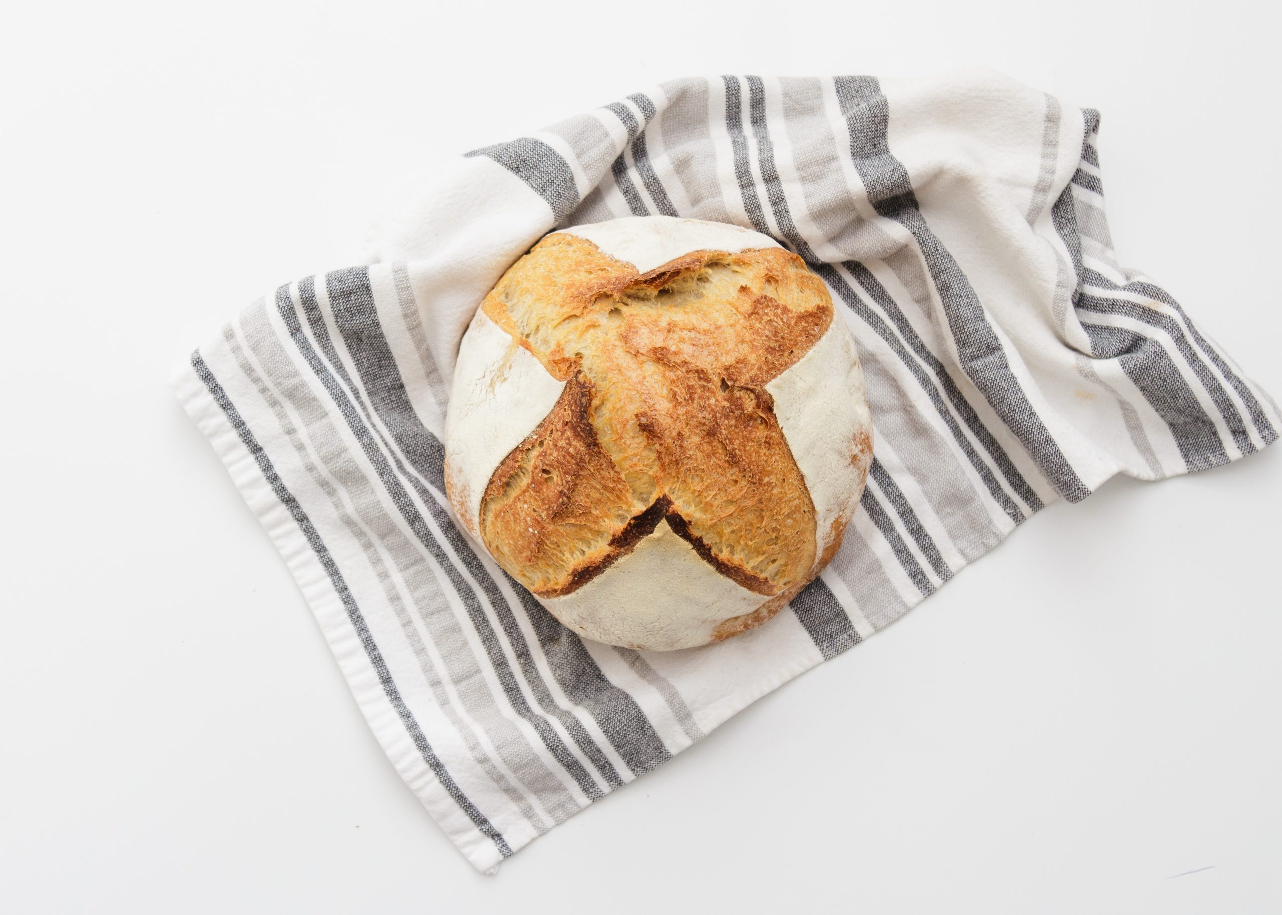 Sourdough 101 Workshop